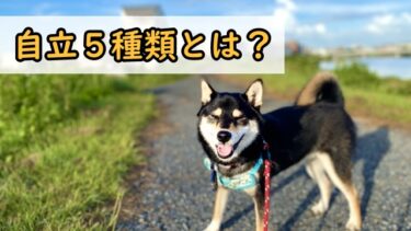 自立5種類