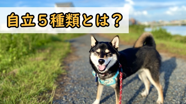 自立5種類