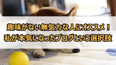 趣味がない無気力な人にオススメ